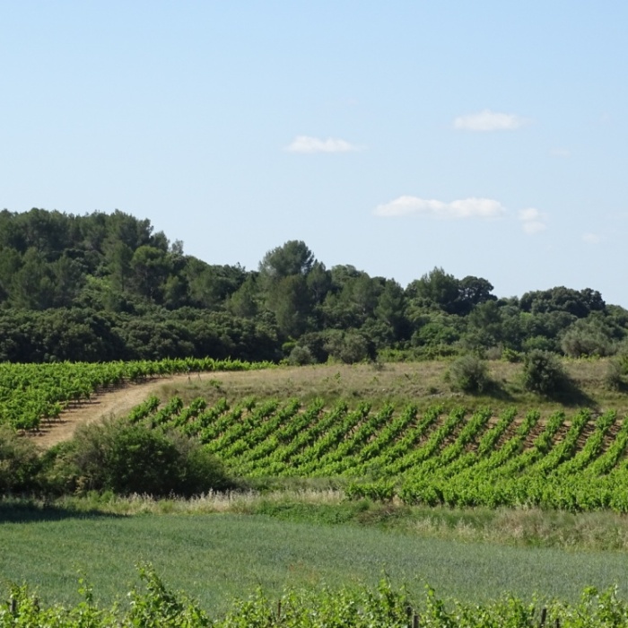 image00065