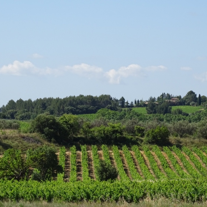 image00066
