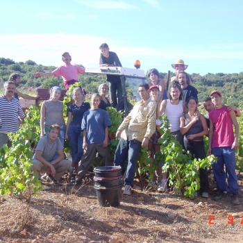 VENDANGES 2003