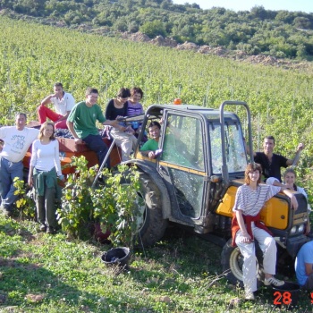 VENDANGES 2004