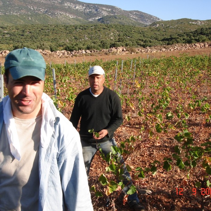 vendanges-07-2eme-121