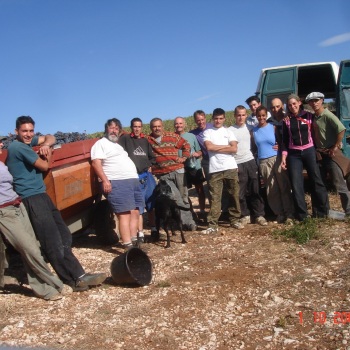 VENDANGES 2008