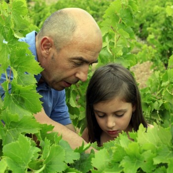 VENDANGES  2012