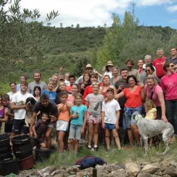 VENDANGES 2015