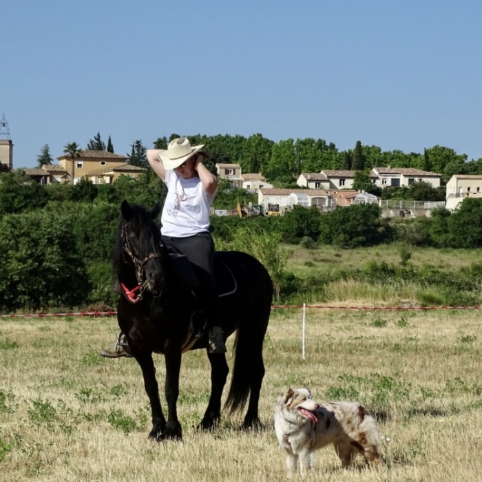 image00011