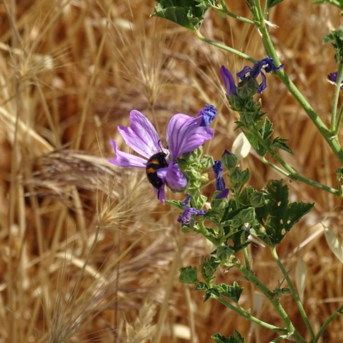 image00064