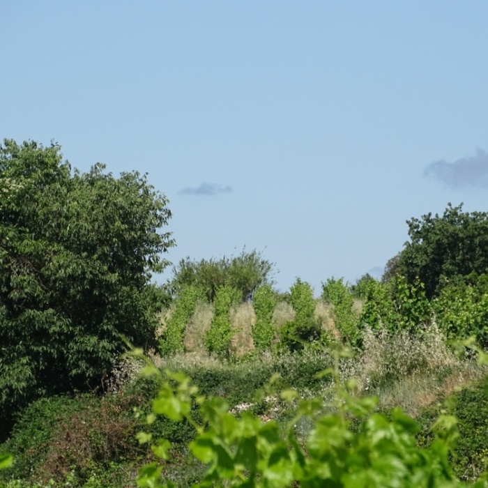 image00114