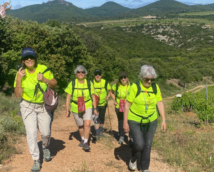 Design sans titre - 1