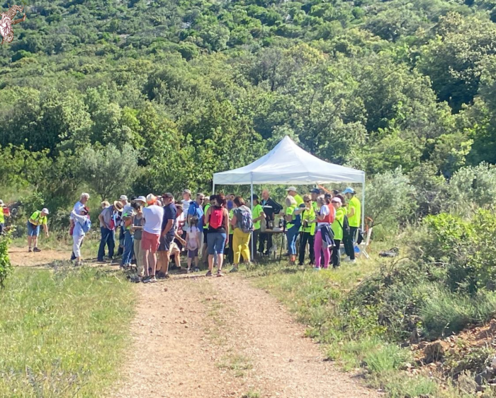 Design sans titre - 1