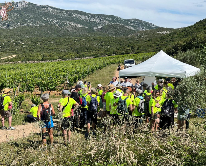 Design sans titre - 1