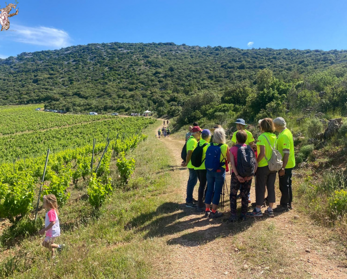 Design sans titre - 1