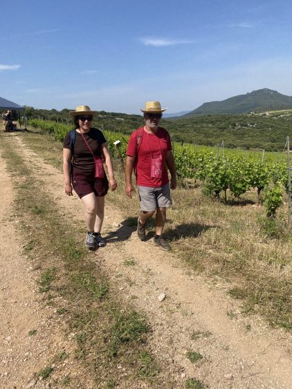 domaine-aupilhac-trailades-25-03-scaled