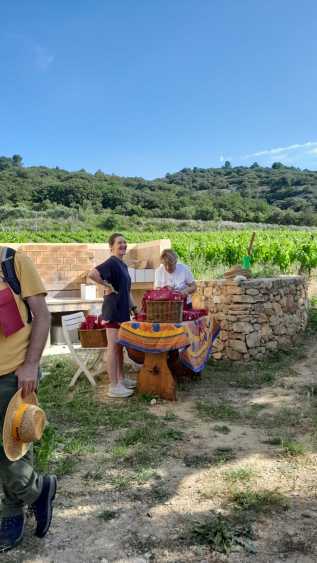 domaine-aupilhac-trailades-25-25