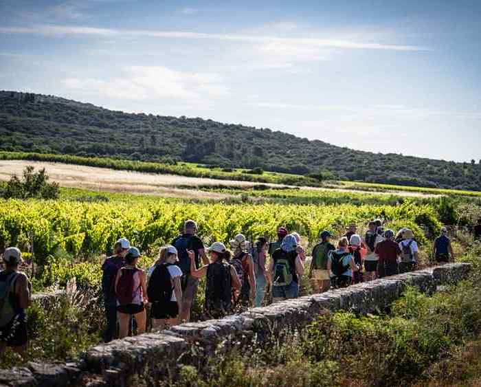 aupilhac-trailade26-vitinova-14