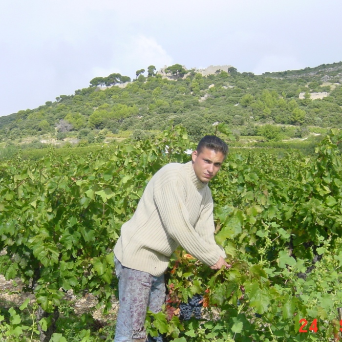 Paco-et-le-Castellas