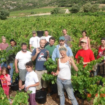 VENDANGES 2007