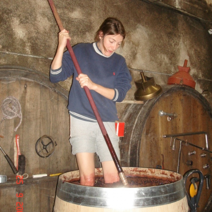 Vendanges-2008-322
