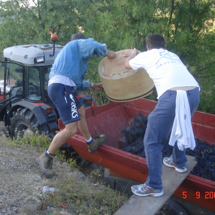 aout-septembre-2009-159