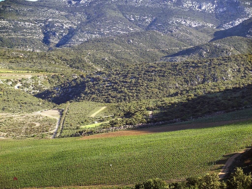 Cocalières