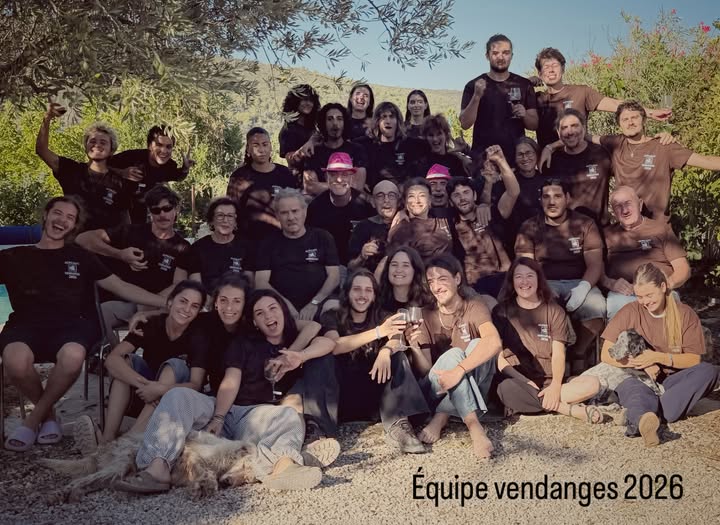 Fin des vendanges 2026 : le premier millésime du cru Montpeyroux est en cave